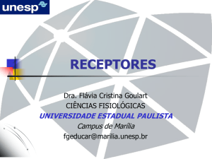 receptores - UNESP Marília