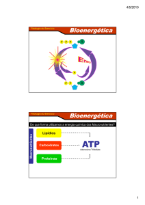 Sistema ATP-CP - Prof. Sandro de Souza
