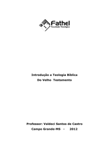 Introdução a Teologia Bíblica Do Velho Testamento Professor