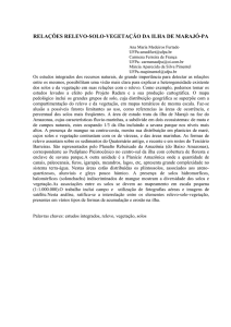 RELAÇÕES RELEVO-SOLO-VEGETAÇÃO DA ILHA DE MARAJÓ-PA