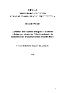 Atividade das enzimas nitrogenase e nitrato redutase em plantas de