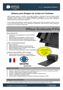 Effisus Ecofacade P-Fix