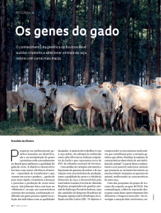 Os genes do gado - Revista Pesquisa Fapesp