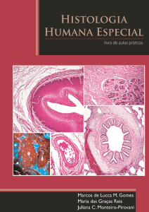 E-book Histologia Humana Especial