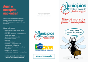 Aqui, o mosquito não entra! - Municípios Contra o Mosquito Aedes