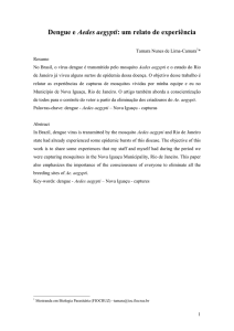 A dengue é uma doença conhecida no Brasil há algum tempo