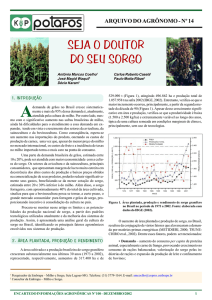 seja o doutor do seu sorgo