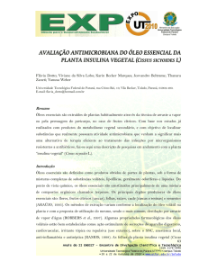 avaliação antimicrobiana do óleo essencial da planta insulina vegetal