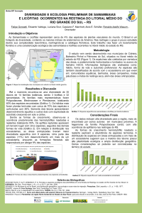 Apresenta&ccedil;&atilde;o do PowerPoint