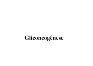 Gliconeogênese - IQ-USP