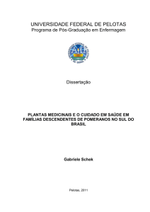 Plantas medicinais e o cuidado em saúde em famílias