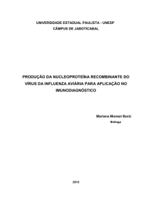 PRODUÇÃO DA NUCLEOPROTEÍNA RECOMBINANTE DO VÍRUS