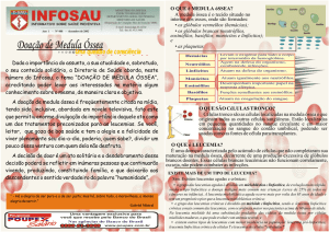 Doação de Medula Óssea