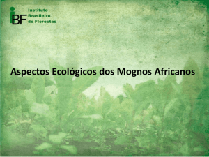Apresentação do PowerPoint - Instituto Brasileiro de Florestas