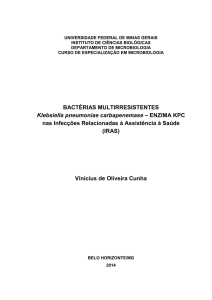 BACTÉRIAS MULTIRRESISTENTES Klebsiella pneumoniae