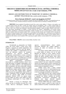 ORIGEM E TERRITORIO DE DISTRIBUIÇÃO DA ARTÉRIA