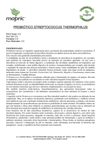 probiótico streptococcus thermophilus