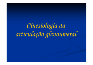 Cinesiologia do ombro (grande) (2)