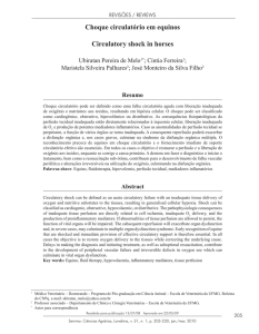 Choque circulatório em equinos Circulatory shock in horses