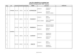 LOTES - Leilão Genética Guzerá NF