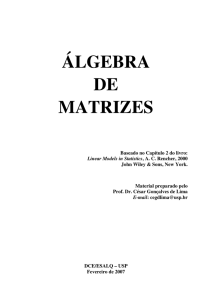 álgebra de matrizes