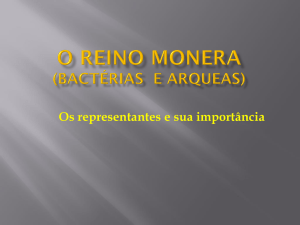 Reino Monera - SOL - Professor | PUC Goiás