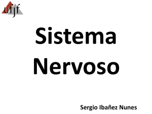 Sistema Nervoso