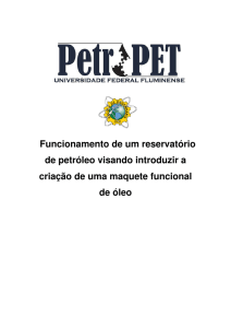 Funcionamento de um reservatório - PetroPet