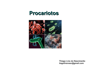 Procariontes - Thiago Lins do Nascimento