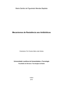 Mecanismos de Resistência aos Antibióticos