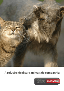 Soluções para Animais de Companhia