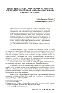 estudo comparativo da &aacute;rea ocupada pelos corpos