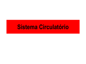 Sistema Circulatório