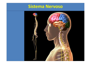 Aula Sistema Nervoso [Modo de Compatibilidade]