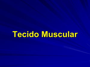 Tecido Muscular - Odontologia Sorocaba 2016