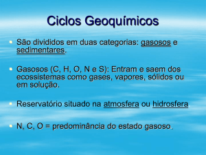 Ciclos Geoquímicos