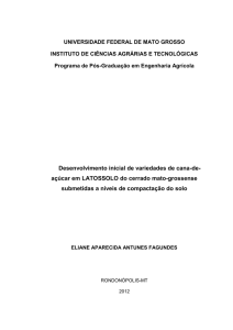 Desenvolvimento inicial de variedades de cana-de- açúcar