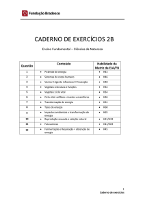 caderno de exercícios 2b