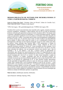 biossolubilização de potássio por microrganismos in vitro a