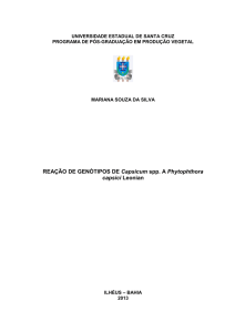 REAÇÃO DE GENÓTIPOS DE Capsicum spp. A - NBCGIB