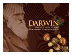 Darwin - evolução