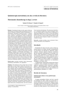 Quimioterapia metronômica em cães