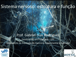 Sistema nervoso: estrutura e função