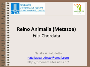 0 Reino Animalia (Metazoa)
