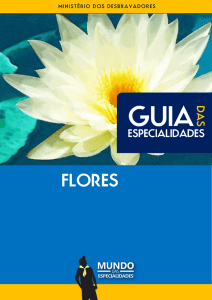 flores - Mundo das Especialidades