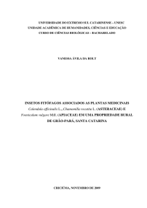 INSETOS FITÓFAGOS ASSOCIADOS AS PLANTAS MEDICINAIS