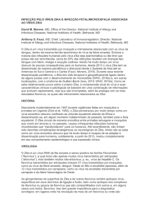 INFECÇÃO PELO VÍRUS ZIKA E INFECÇÃO
