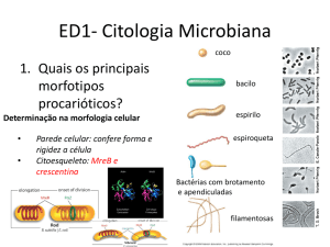 ED1- Citologia Microbiana