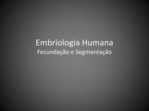Embriologia Humana Fecundação e Segmentação