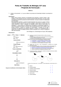 Ficha de exercícios globais II